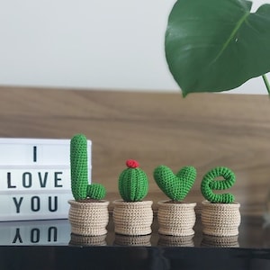 Crochet Cactus LOVE - Valentine&#39;s Day Amigurumi Gift