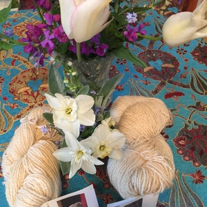 400 yards of Wool/Mohair blend, organic. Hand dyed with organic onion skins. Please note price is for two skeins.