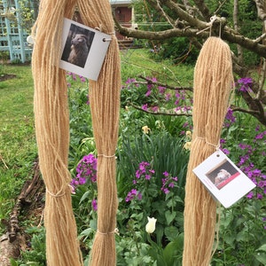 400 yards of Wool/Mohair blend, organic. Hand dyed with organic avocado pits. Please note price is for two skeins.