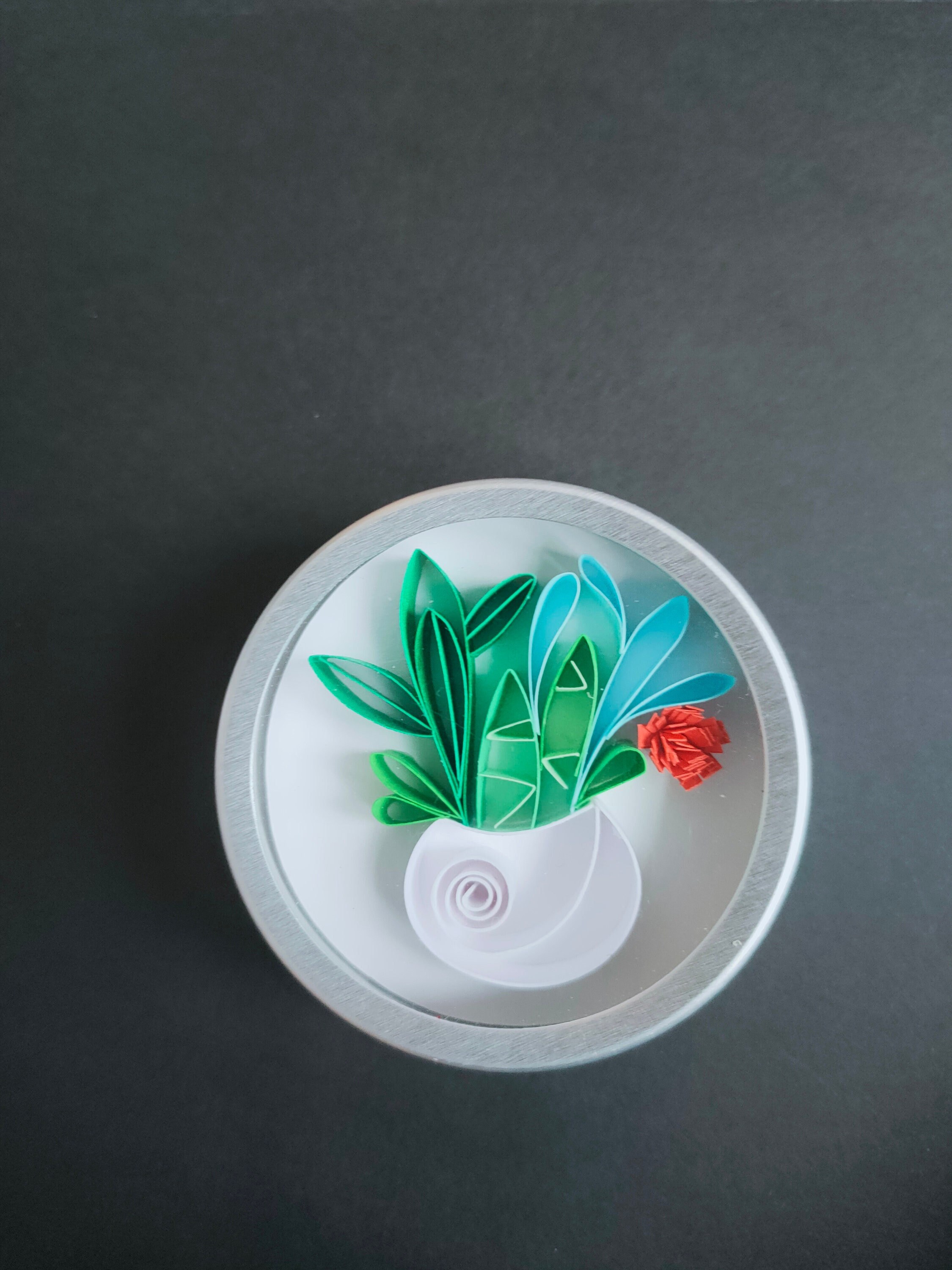 Magnet 3D Composition de Cactus