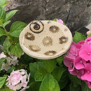 Könnte beinhalten: Eine cremefarbene Keramikschale mit einem einzigartigen Design. Die Schale hat ein Spiralmuster und mehrere kreisförmige Punktmuster in Dunkelblau. Die Schale ist von grünen Blättern und rosa und weißen Blüten umgeben.