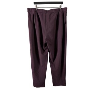 Eileen Fisher Casis Slouchy Ankle Pant Tencel Lyocell Casis 1X NWT Bild 3