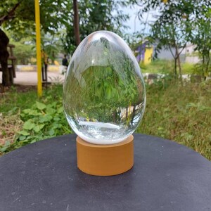 Pode incluir: Um orbe de vidro transparente com uma base dourada est&aacute; sobre uma superf&iacute;cie preta. O orbe reflete a vegeta&ccedil;&atilde;o ao redor.
