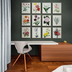 Vintage Botanical Print Set, Botanical Gallery Wall Set, Floral Art ...