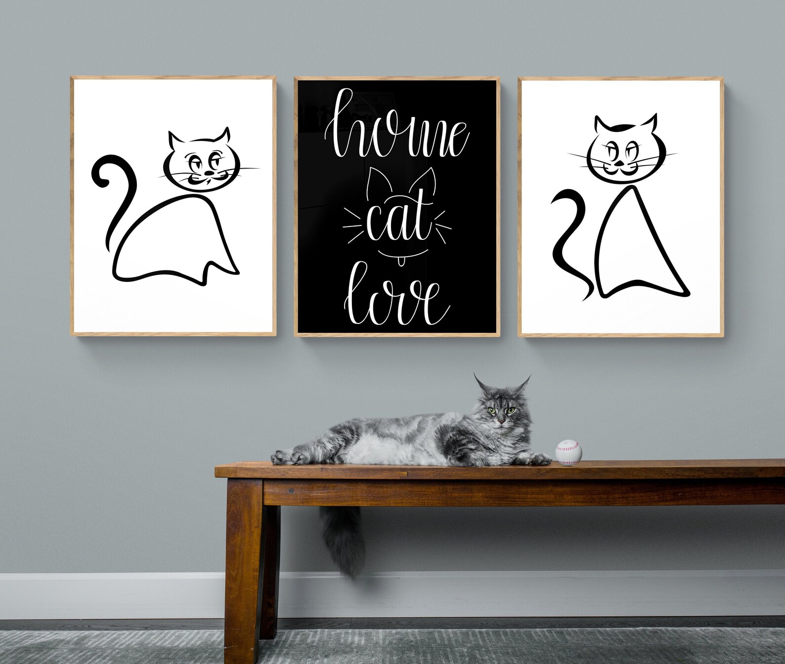 Black and White Cat Wall Art, Feline Wall Art, Cat Lover Gifts, Black