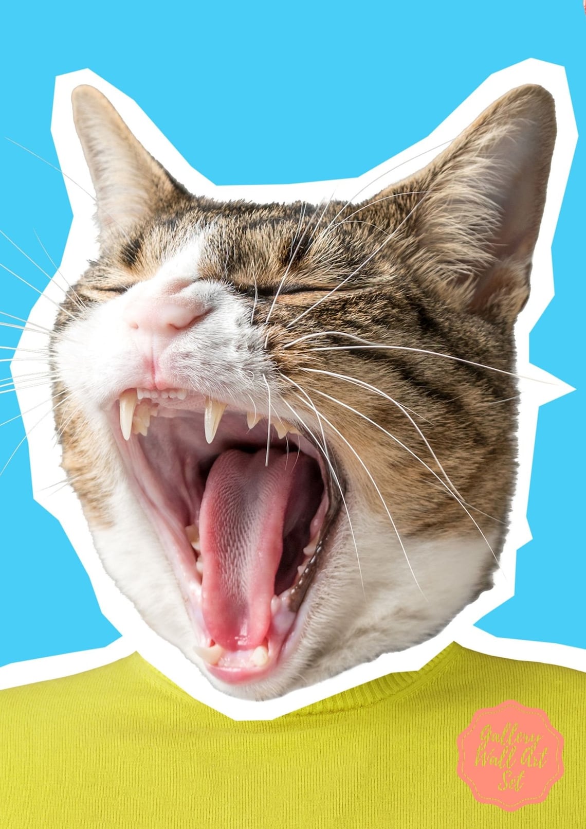 Pop Art Gallery Wall Modern Digital Download Wall Art Bright Etsy