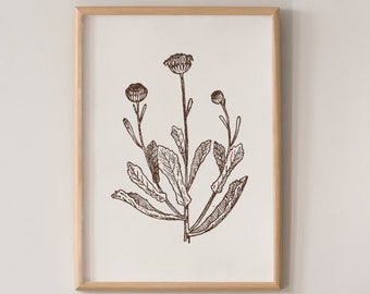 Antique Flower Print | Botanical Line Drawing | Botanical Print | Flower Line Drawing | Minimalist Flower Art | Printable Wall Art