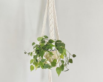 May include: A macrame plant hanger with a wooden ring at the top, holding a glass pot filled with a green leafy plant. The macrame is off-white and has a diamond pattern.