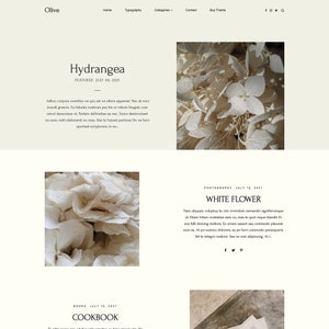 Plantilla de blogger responsiva prefabricada, Tema de Blogger responsivo, Tema de Blogger, Minimalista + Instalación gratuita - Oliva