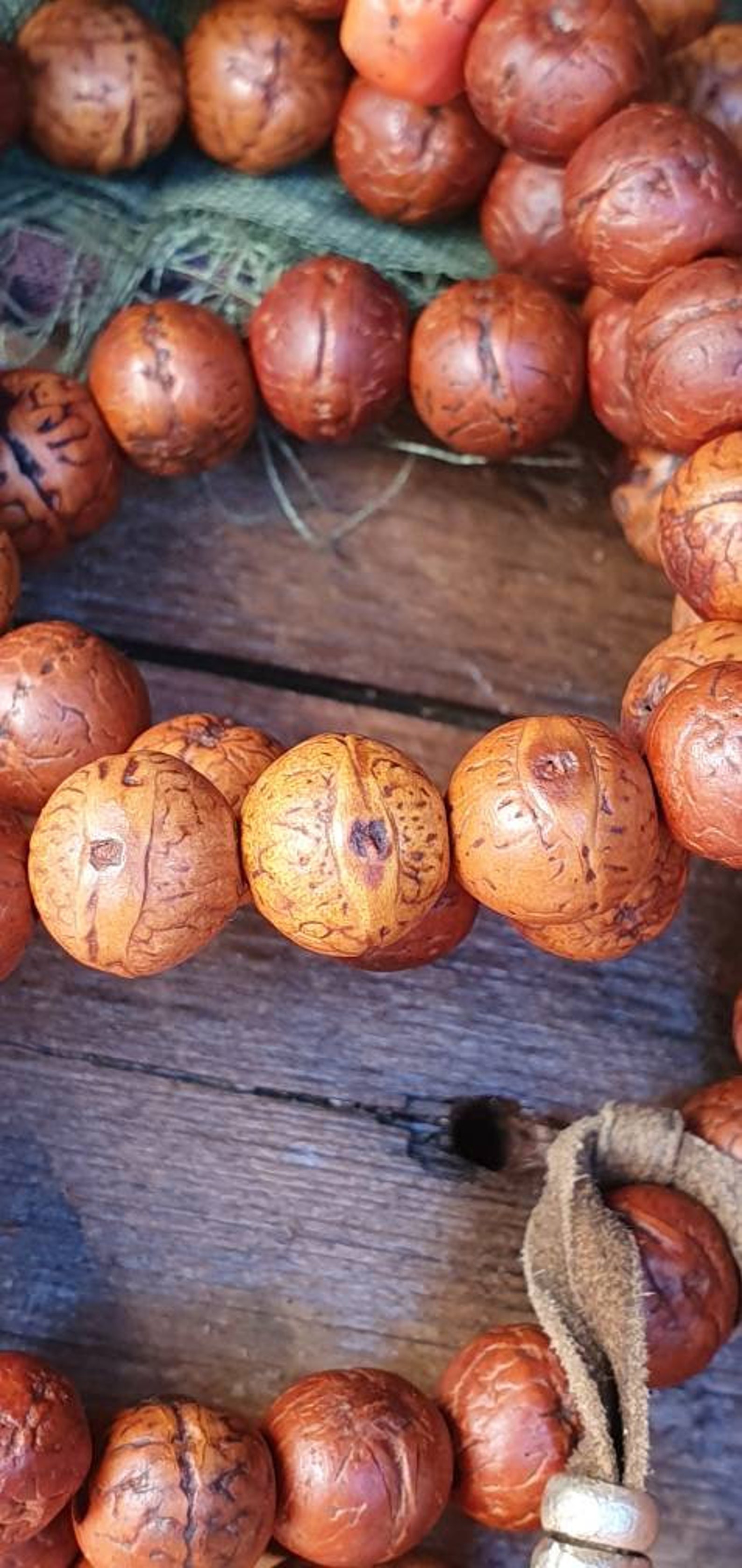 Tibetan Bodhi Mala Bodhi seed 100 Genuine Antique Natural Etsy