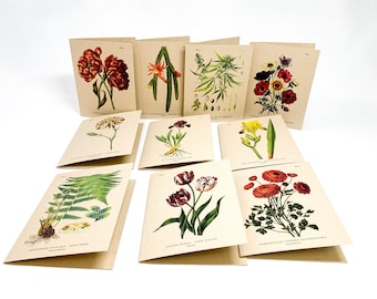 Vintage Botanical Illustration Greeting Cards