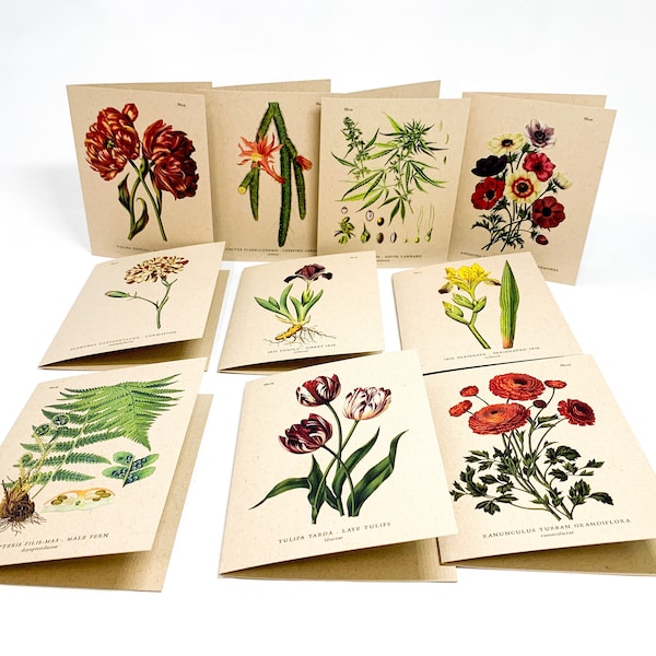 Vintage Botanical Illustration Greeting Cards