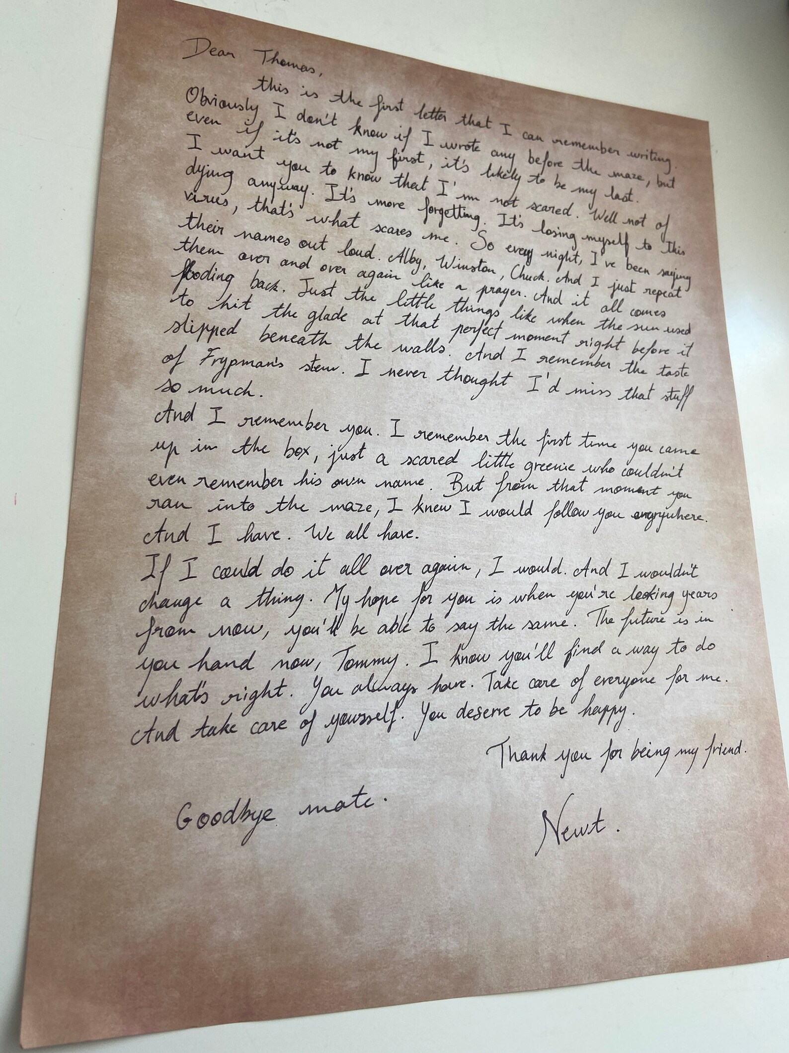 La Lettre De Newt En Francais La lettera di Newt The Maze Runner | Etsy