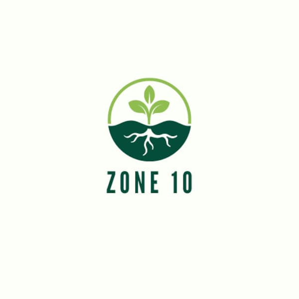 Winter Planting Guide for Zone 10 (digital download)