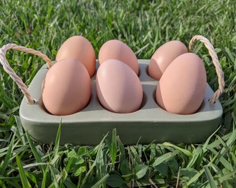 Purebred Buff Orpington Fertilized Eggs - fast processing & shipping