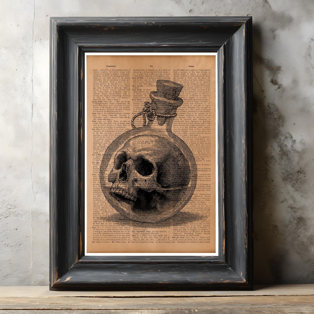 Vintage Human Skull Anatomy Art Print – Medical Illustration Poster ...