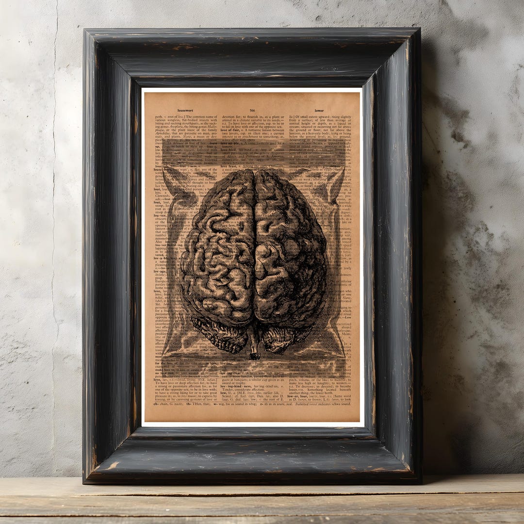 Vintage Brain Anatomy Print – Human Brain Medical Illustration Poster ...