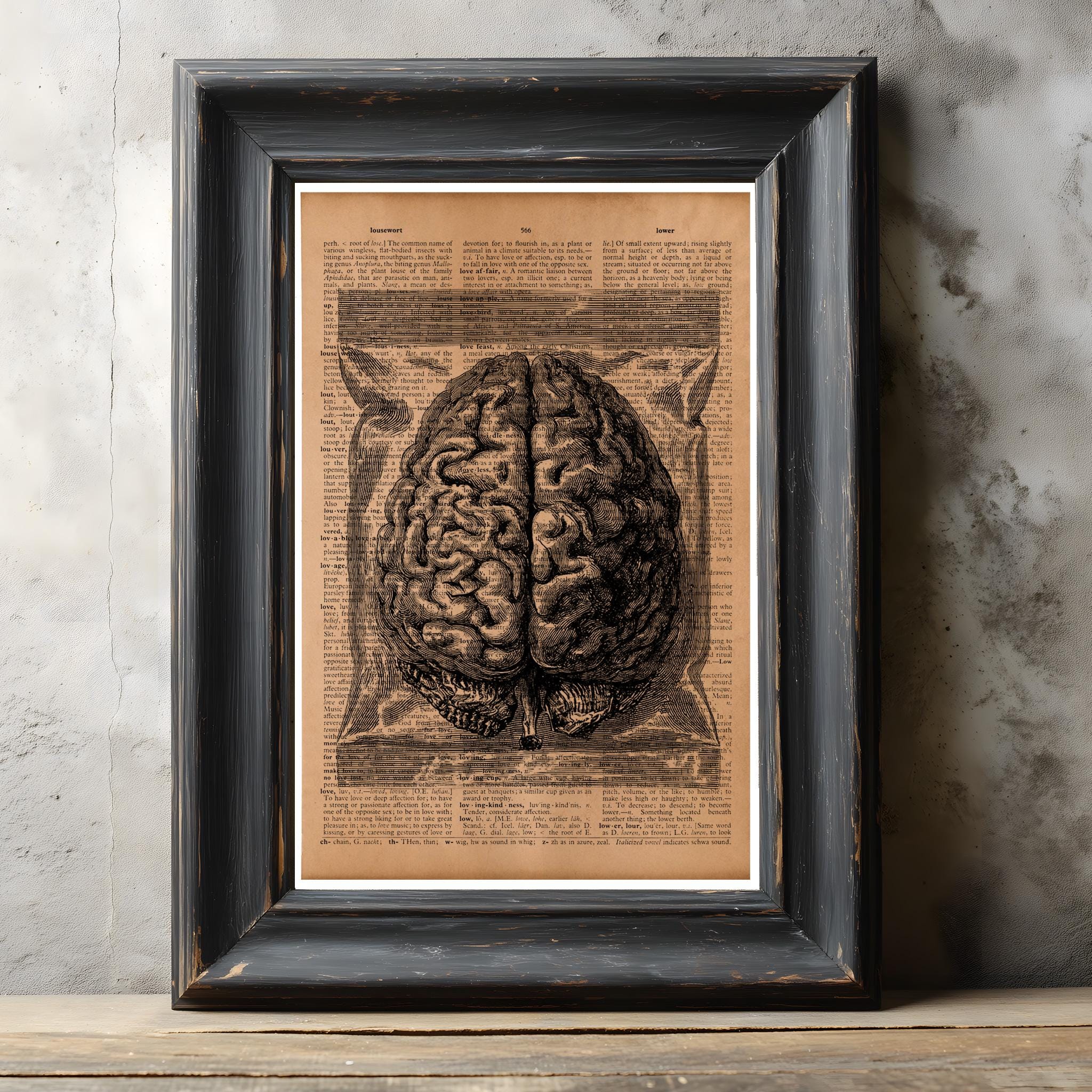 Vintage Brain Anatomy Print – Human Brain Medical Illustration Poster ...