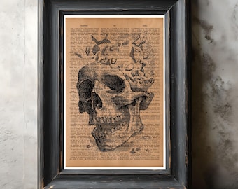 Exploding Skull Anatomy Dictionary Print – Vintage medische illustratie, antieke schedelkunst, rustiek muurdecor, anatomische poster