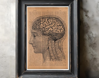 Póster vintage de anatomía del cerebro humano: ilustración médica, decoración rústica de pared científica, regalo para estudiantes de medicina y médicos.