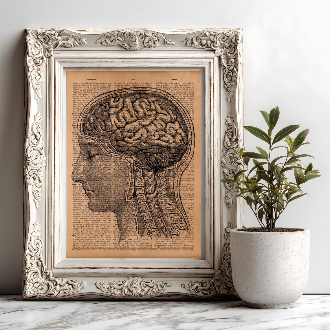 Vintage Human Brain Anatomy Poster – Medical Illustration Art Print ...
