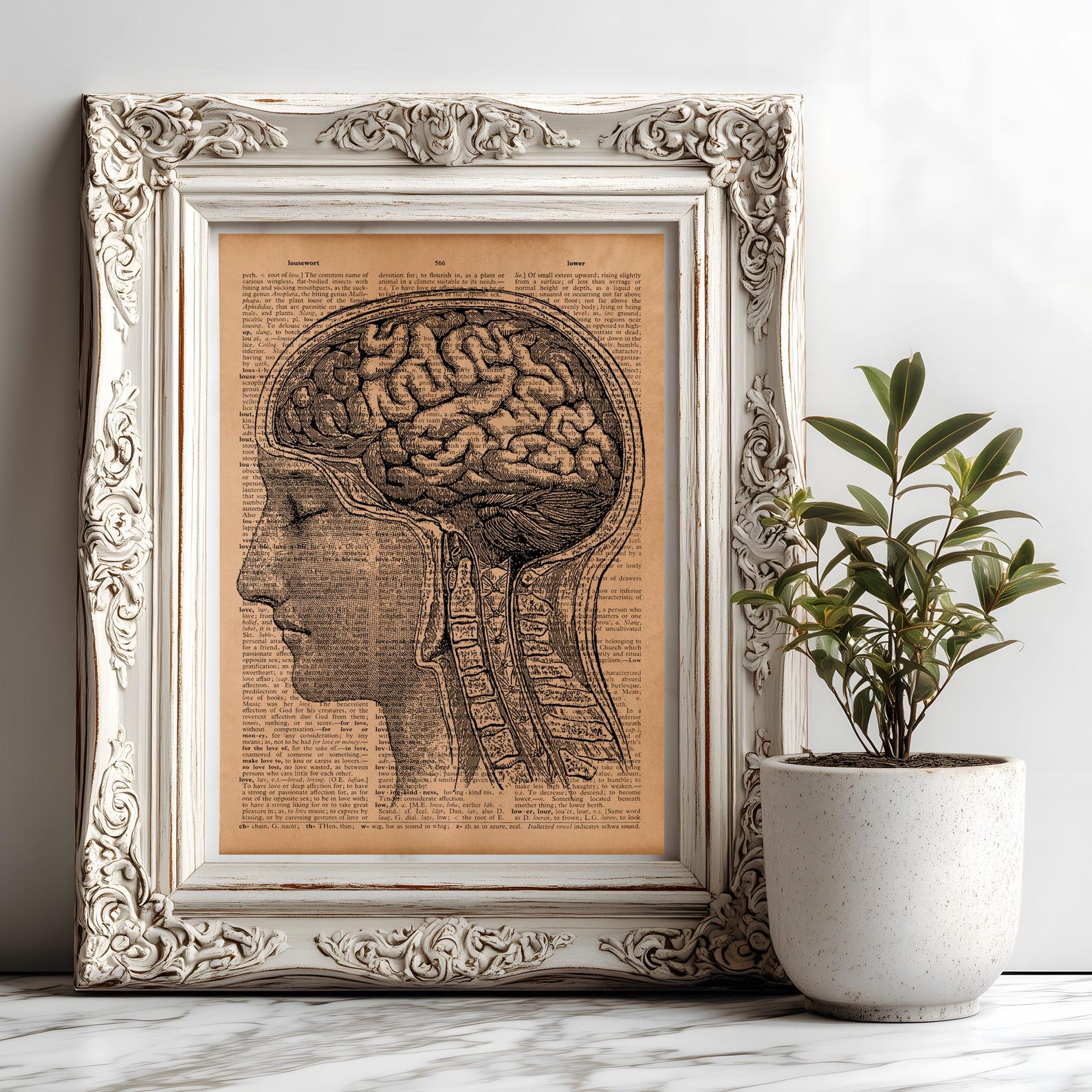 Vintage Human Brain Anatomy Poster – Medical Illustration Art Print ...