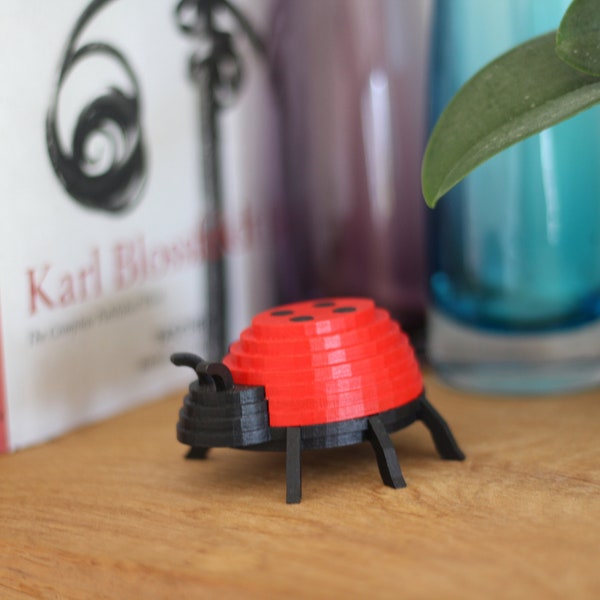 Coccinelle décorative en bois 3D "Ladybird"