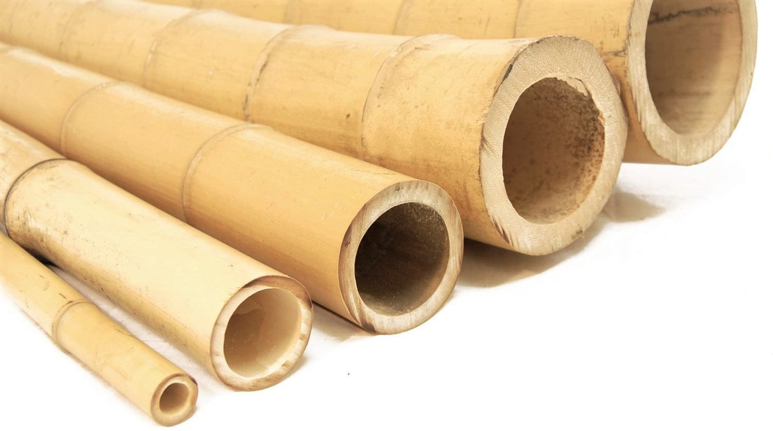 Bamboo Premium Natural Bamboo Poles 8ft Conjunto de 12 | Etsy