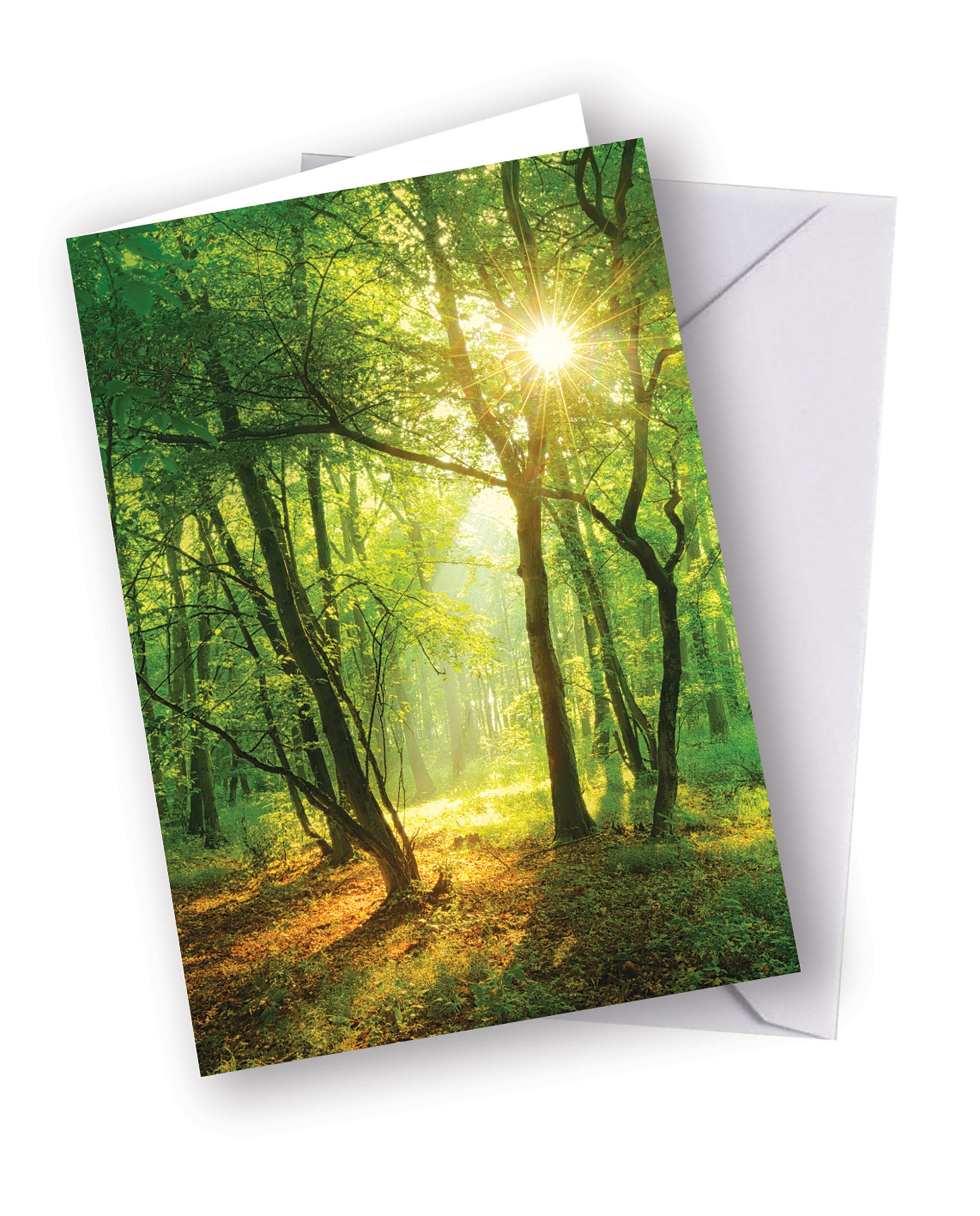 This Card Plants a Woodland Tree - Greetings Card Plants a Tree in a UK ...