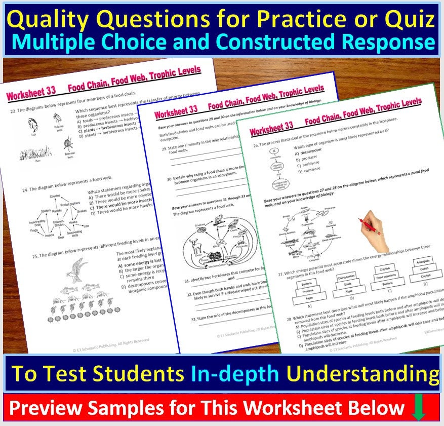 3.3 energy flow in ecosystems answer key pdf picture