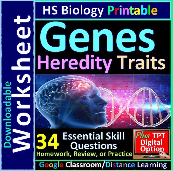 Genetics: Heredity Genes Chromosomes Living Environment - Etsy