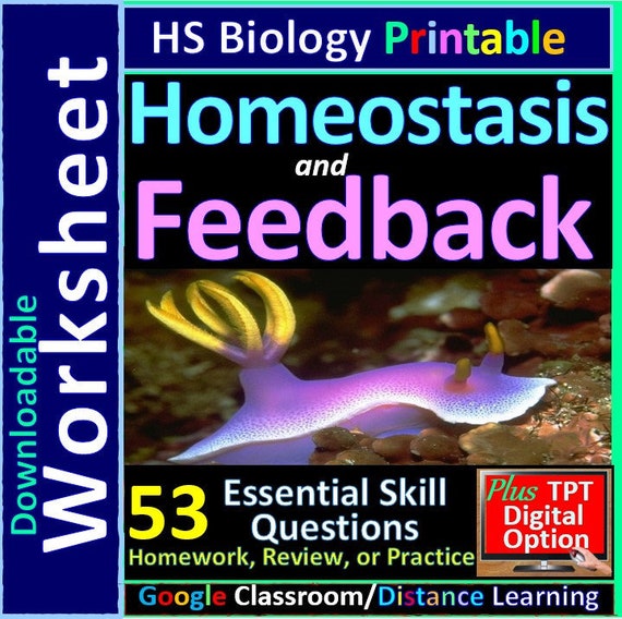 Homeostasis & Feedback Mechanism Living Environment Regents - Etsy