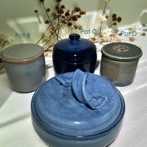 May include: Four ceramic pots in shades of blue and green are displayed. Pot A is a large, round pot with a lid featuring a handle. Pots B and D are cylindrical, and Pot C is a small, dark blue pot with a knob on the lid. Dried flowers are in the background.