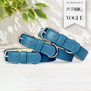 Blue Personalised Dog Collar Adjustable, Vegan Leather Collar, Padded Collar, Soft Puppy Collar, Eco friendly, New Dog Owner Gift Essentials