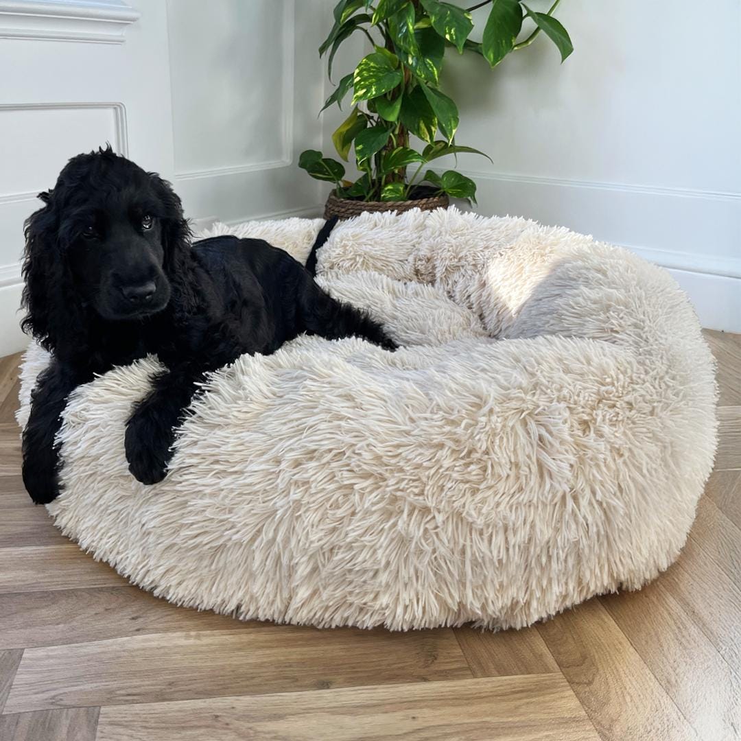 Beige ECO Donut Shaped Fluffy Dog Bed Washable Dog Bed Doughnut Dog beige-eco-donut-shaped-fluffy-dog-bed-washable-dog-bed-doughnut-dog