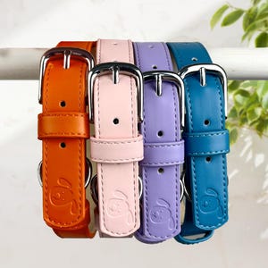 Puede incluir: Cuatro collares de perro de cuero en diferentes colores: naranja, rosa, morado y azul verdoso. Cada collar tiene una hebilla plateada y una pequeña huella de pata de perro en relieve en la parte delantera.