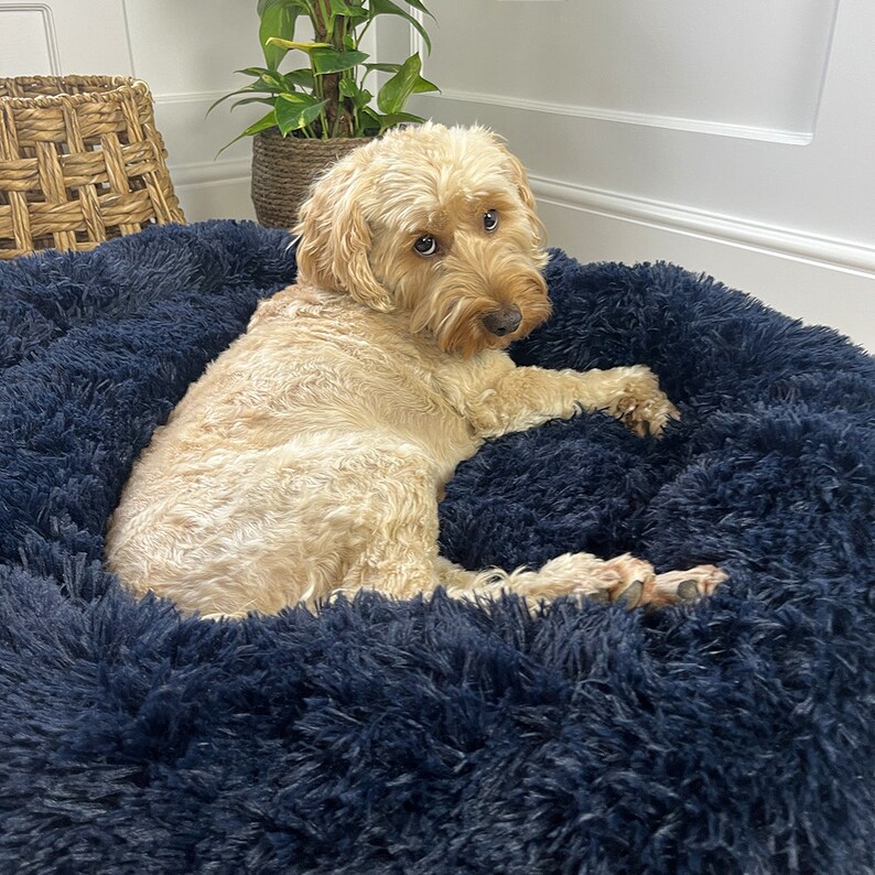 blue dog bed, dark dog bed, navy blue dog bed, navy dog bed, blue fluffy dog bed, dog snuggle bed, snuggly dog bed,