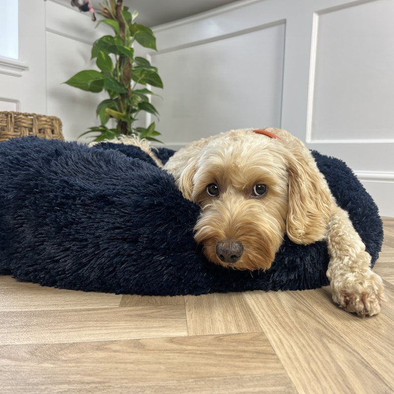 blue dog bed, dark dog bed, navy blue dog bed, navy dog bed, blue fluffy dog bed, dog snuggle bed, snuggly dog bed,