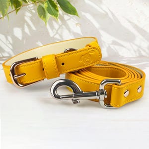 May include: A yellow leather dog collar and lead set. The collar has a silver buckle and a small dog silhouette embossed on the leather. The lead has a silver clip and two silver rivets.