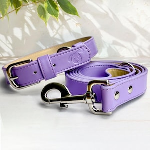 May include: A lavender leather dog collar and leash set with a silver buckle and clasp. The collar has a small dog paw print embossed on it.
