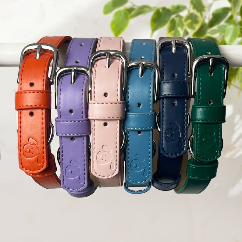 Range of vegan leather dog collars. Neutral dog collar, pastel dog collar Plain small embossing detail. Stainless steel silver buckle. Adjustable strap collar. Premium Leather. Dog neckwear. Size small medium large and extra large. Stylish Collars.
