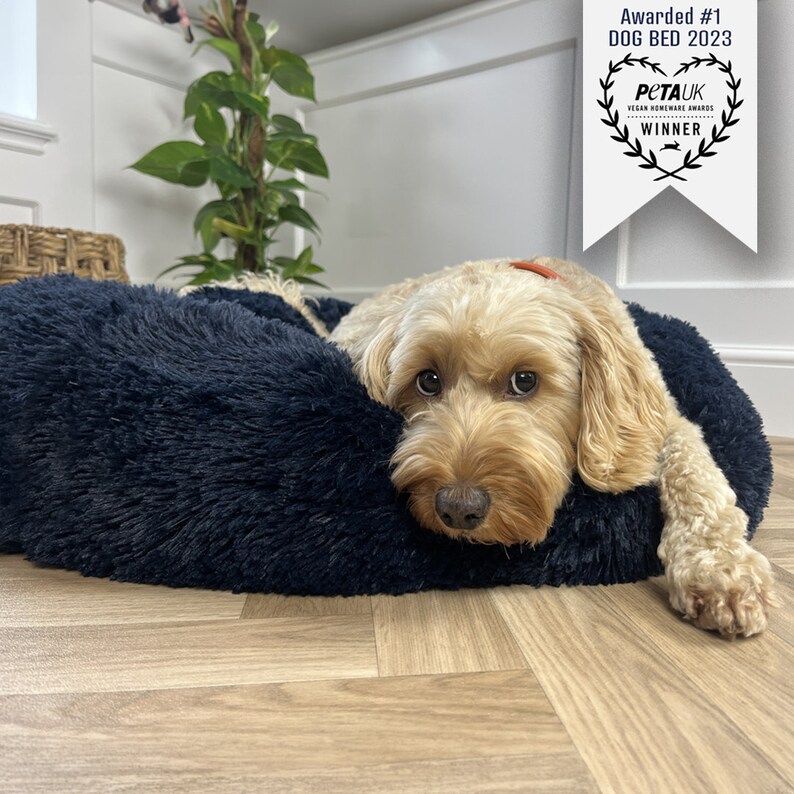 Plush Dog Bed, Dog Donut Bed, Pet Bedding, Dog Accessory, Dog Cave Bed, Sustainable Bedding, Nesting Bed, Dog Mattress, Calming Beds, Travel Dog Bed, Puppy Supplies, Pet Trends, Pet Accessories