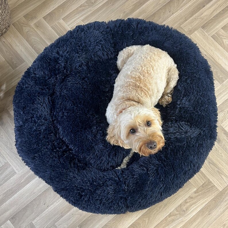 gifts for dogs, apricot dog bed, cooling dog bed, calming dog bed, fluffy dog pillow, fluffy cushion for dogs, dog gift guide