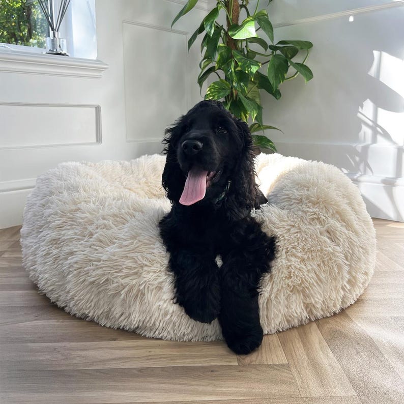 Donut Bed For Dogs, Donut Shape Dog Bed, Fluffy Donut Dog Bed, Donut Pet
Dog Bed, Doughnut Bed Dog, Fun Dog Bed, Calm Dog Bed, Anti Anxiety Dog Bed, Eco Friendly Dog Bed, Comfy Dog Bed, Fluffy Dog Bed, Round Dog Bed, Dog Nesting Bed,