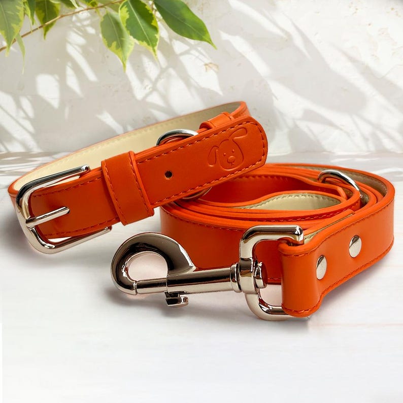 orange dog collar for dogs, matching lead and collar set, dog gift essentials, new dog owner gifts