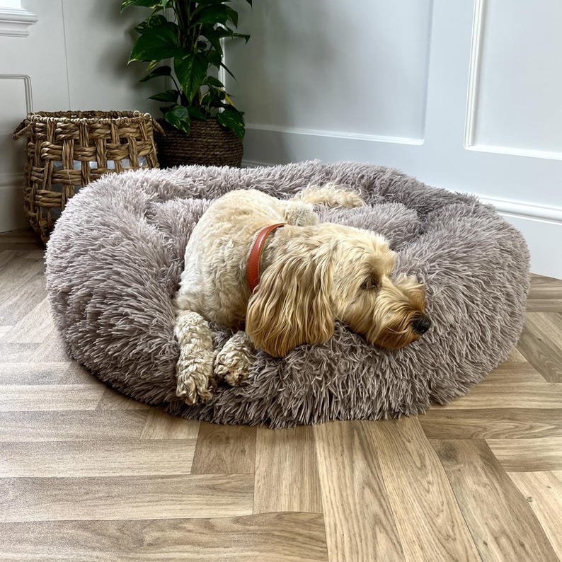 beige dog bed, apricot dog bed, apricot dog bed, neutral dog bed, soft dog bed