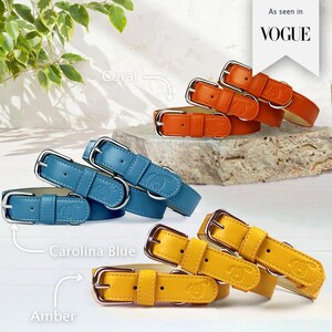 Coral dog collar, orange dog collar, Pastel dog collar, Pumpkin dog collar, Halloween dog collar, Racing green dog collar. Blue dog collar. Dark blue colour. Emerald, Royal Blue dog collar. Vibrant and stylish. Cobalt Vegan Leather Collar
