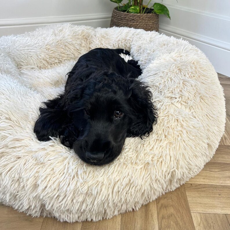 blue dog bed, dark dog bed, navy blue dog bed, navy dog bed, blue fluffy dog bed, dog snuggle bed, snuggly dog bed,