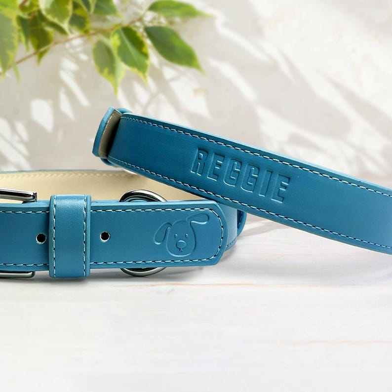 personalised blue vegan dog collar, silver buckles dog collar, blue dog collar, adjustable dog collar, stylish dog collar, dog collar gift