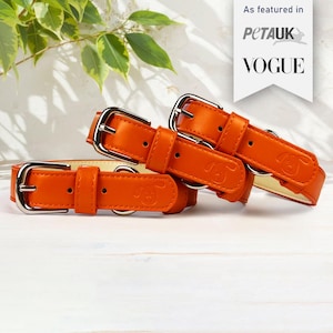Coral orange vegan leather Dog collar
